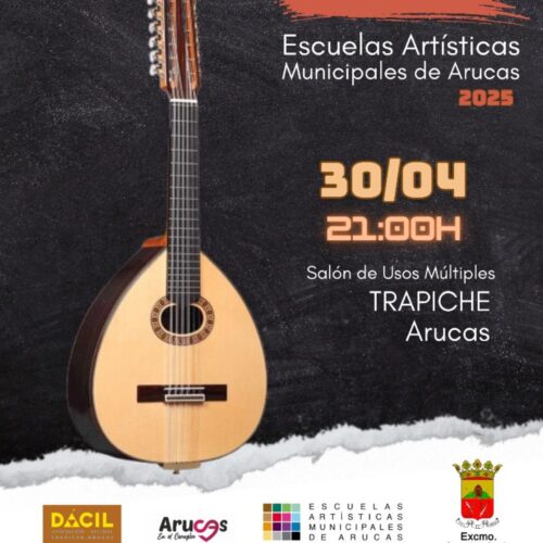 1º concierto de orquesta de pulso y púa - escuela artística.